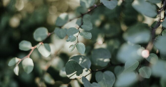 What Is Counselling for Anxiety? Understanding How Therapy Helps You Heal