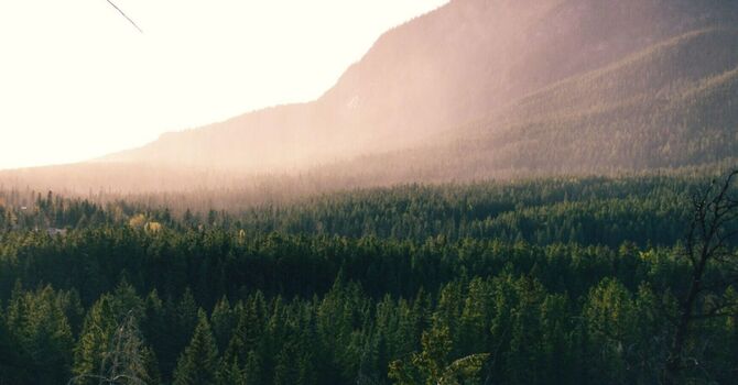 What Is Counselling for Anxiety? Understanding How Therapy Helps You Heal image