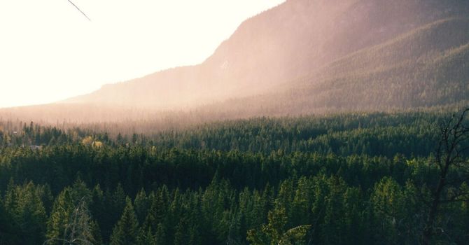 Medical - Primary Care / Family Medicine