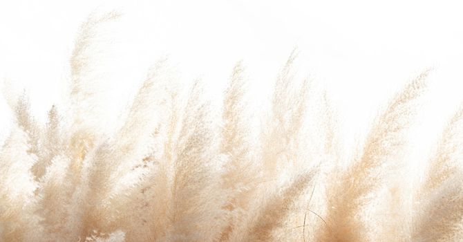 What Is Counselling for Anxiety? Understanding How Therapy Helps You Heal